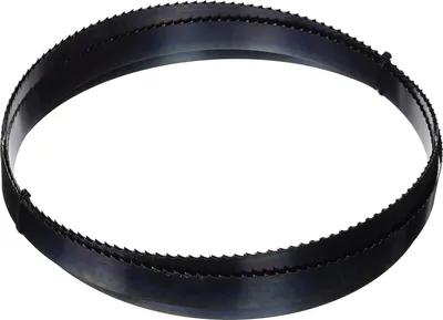 Immagine prodotto di Holzkraft Sägeband Länge 4190 mm, Zahnteilung 4 ZpZ