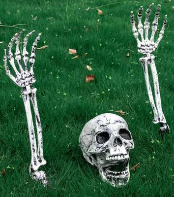 Halloween-Skelettstäbe, 3-teilig, Kunststoff, realistisch, gruselig