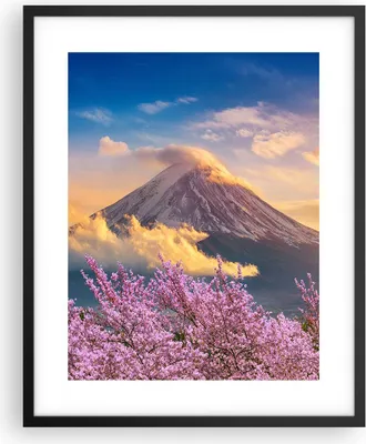 Produktbild von Gerahmtes Poster - Schwarzer Rahmen - Fuji Blume Kirsche - 40x50 cm - Wand Bild - Wanddeko - Wandbilder - Kunstposter - Wandposter - Bilderrahmen - Bilder - Kunstdruck - P2BPA40x50-4490