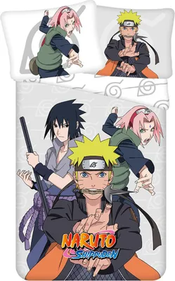 Produktbild von JERRY FABRICS Bettwäsche Naruto Baumwolle, 140/200, 70/90 cm
