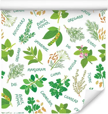 Produktbild von 10m VLIES TAPETE Rolle Esszimmer Pflanzen Blätter Heilkräuter Natur XXL