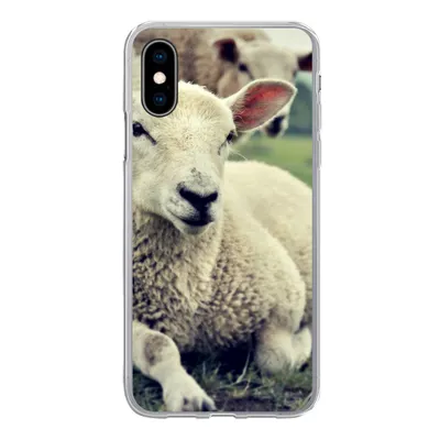 Produktbild von MuchoWow® Handyhülle Schutzhülle Hülle für iPhone X Schaf - Lamm - Gras Silikon Softcase Handy Hülle - Handyhülle