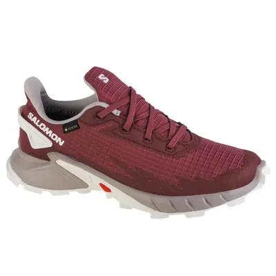 Produktbild von Salomon Schuhe Alphacross 4 Gtx, 471174