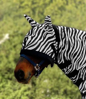 Produktbild von Waldhausen Fliegenmaske Zebra Schwarz/Weiß VB