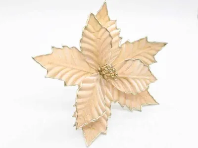 Obrázek produktu pro Květiny na vánoční stromek - šampaňská poinsettie Betlémská hvězda na špejli V 28 cm Fi 20 cm