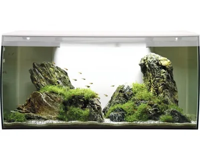 Produktbild von Aquarium Fluval Flex 123 l inkl. LED-Beleuchtung, Filter, Schaumstoffunterlage ohne Unterschrank weiß