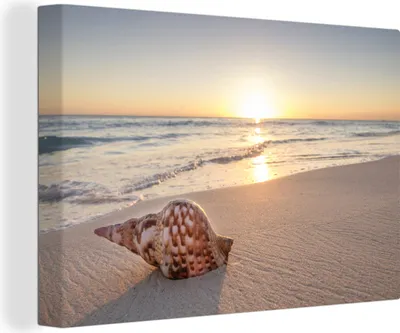 Produktbild von MuchoWow® - Leinwandbilder - Muschel - Strand - Himmel, Wandbild, Wanddeko Bilder Wohnzimmer, 30x20 cm