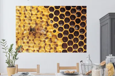 Produktbild von MuchoWow® - Selbstklebend - Fototapeten