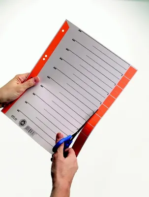 Produktbild von Leitz 1652-00-45 Trennblätter - A4 Überbreite, orange, farbiger Lochrand, 100 Stück