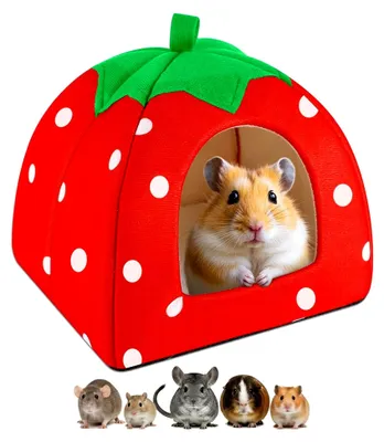 Produktbild von Meerschweinchenhaus, 24 x 24 cm, langlebiges Bett und Kuschelhöhle für Kleintiere, abnehmbar und waschbar, geeignet für Kaninchen, Eichhörnchen, Chinchillas