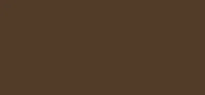 Obrázek produktu pro Tužka na obočí (Brow Pencil) 1,1 g, Dark Brunette