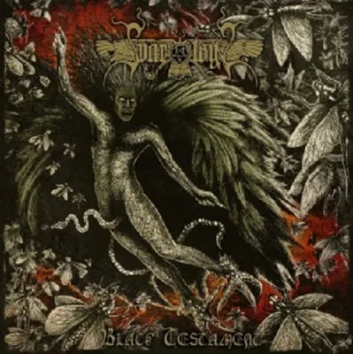 Produktbild von Svartsyn-Black Testament