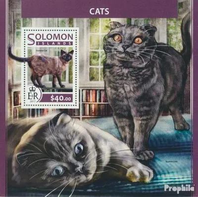 Produktbild von Briefmarken Salomoninseln 2017 Mi Block 642 (kompl. Ausg.) postfrisch Katzen