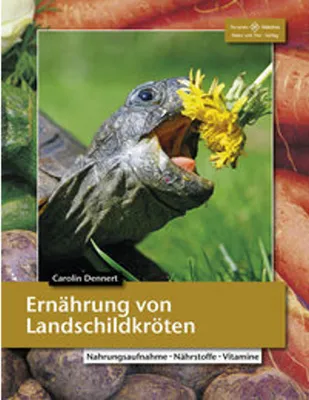 Produktbild von Ernährung von Landschildkröten