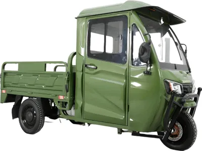 Produktbild von Urban Hopper Lastendreirad Cargo Volt XXL 25km/h 3,9kW 72V 80Ah Pritsche COC, Fahrzeugfarbe:Grün