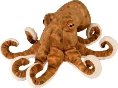 A plush toy octopus is shown against a white background.