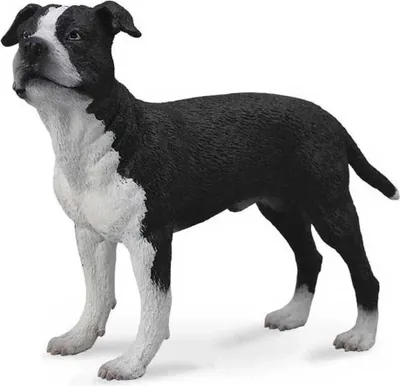 Produktbild von Collecta American Staffordshire Terrier Figur Schwarz 3-6 Years Kinder Schwarz 3-6 Years