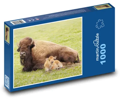 Zdjęcie produktu dla martinpuzzle - Puzzle 1000 elementów - Buvol