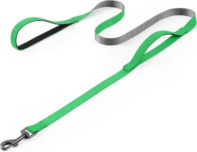 Produktbild von Hundeleine 1,5 m, 2 cm breit, Nylon, für kleine bis große Hunde, zum Spazierengehen