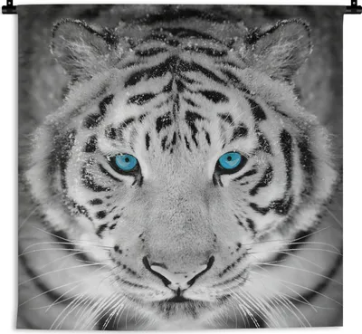 Produktbild von MuchoWow® Wandteppich Wandbehang Tiger - Weiß - Augen 150x150 cm Tapisserie Dekoration Wandtuch - Wohnaccessoires - Modernes