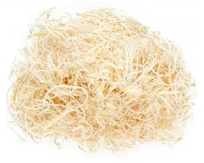 Gebleichtes Curly Moos in hellem Beige aus Tamarindenfaser