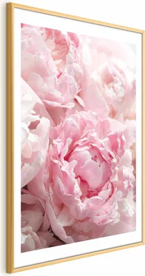 Produktbild von Posterpapier Poster - Morning Nostalgia 29.7x42 cm Blumen b-B-0384-ao-a