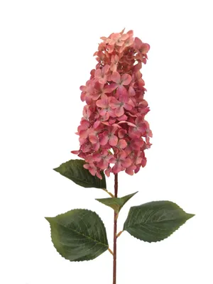 Produktbild von 2474U Kunststielblume, Künstliche Blume Flieder Rosa 83 cm
