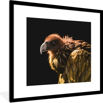 Produktbild von MuchoWow® MuchoWow® Gerahmtes Poster Geier - Gold - Schwarz 40x40 cm - Poster mit zchwarzem Bilderrahmen - Poster - Plakat im Rahmen