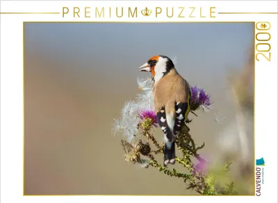 Produktbild von CALVENDO Puzzle Stiglitz 2000 Teile Puzzle quer | 2000 Teile Lege-Größe 90x67cm Foto-Puzzle für glückliche Stunden