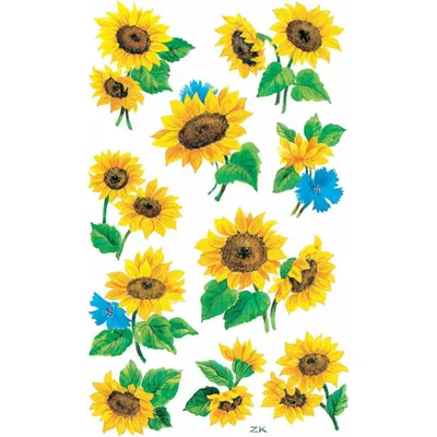 Immagine prodotto di Avery Zweckform® 54103 Z-Design 54103, Adesivi decorativi, girasoli, 3 fogli/30 adesivi