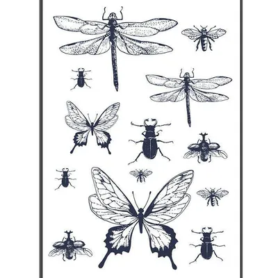Produktbild von Bügelaufnäher A4 Schwarz & Weiß - Insekten