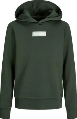 Produktbild von Jack & Jones Pan Kapuzenpullover Grün 16 Years Junge Grün 16 Years