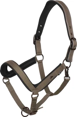 Image de HV Polo Licol HVPEssential anatomique Stone, taille:C/S