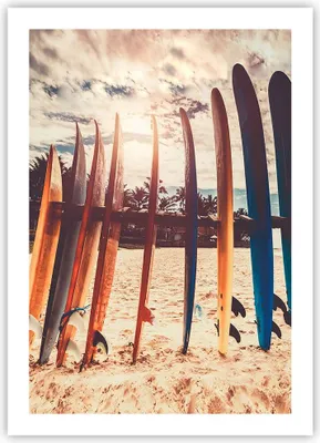 Produktbild von Poster - Poster ohne Rahmen - Surfen Strand Board - 50x70 cm - Wand Bild - Wanddeko - Wandbilder - Kunstposter - Wandposter - Bilder - Kunstdruck - Wanddekoration - Wandbild - P2XPA50x70-4992