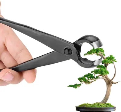 Produktbild von Bonsaischere Concave, 210 mm, Manganstahl, für präzises Schneiden