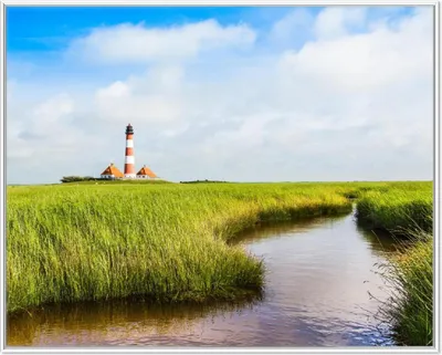 Produktbild von Wallario Wandbild Kleiner Bach durch Schilf auf dem Weg zum Leuchtturm, Größe: 40,30 x 50,30 cm, Poster mit weißem Aluminiumrahmen