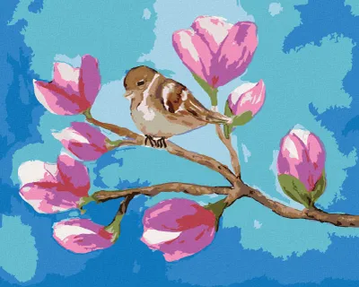 Produktbild von Zuty - Malen nach Zahlen - SITZENDER SPATZ AUF DEM ZWEIG MIT MAGNOLIENBLÜTEN, 40x50 cm, mit Keilrahmen (bereits gespannt)