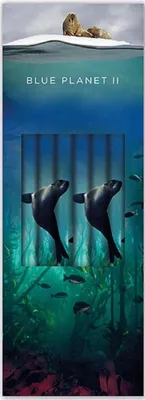 Immagine prodotto di Matita decorativa Sea Lion (6 pezzi)