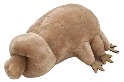 Zdjęcie produktu dla Maskotka tardigrada - Pluszowa przytulanka - Miękka - 25,5 cm - Dla dzieci