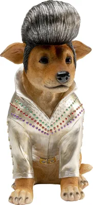 Sparbüchse King Dog, 33 cm, mehrfarbig, Hunde-Motiv, Dekoration