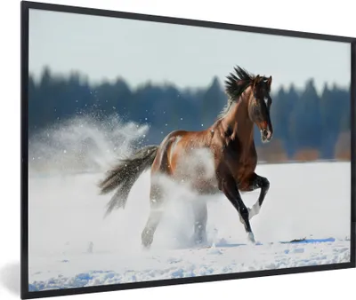 Produktbild von MuchoWow® MuchoWow® Gerahmtes Poster Pferd - Schnee - Winter 60x40 cm - Poster mit zchwarzem Bilderrahmen - Printing - Wanddeko Schlafzimmer