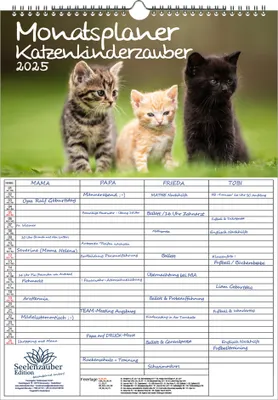 Produktbild von Katzenkinderzauber Planer Wandplaner Familienplaner 4 Spaltenplaner DIN A3 Kalender für 2025 Katzenkinder Katzenbabys - Seelenzauber
