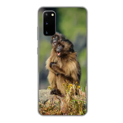 Produktbild von MuchoWow® Handyhülle Schutzhülle Hülle für Samsung Galaxy S20 Affen - Pflanzen - Steine - Familie Silikon Softcase Handy Hülle - Bild