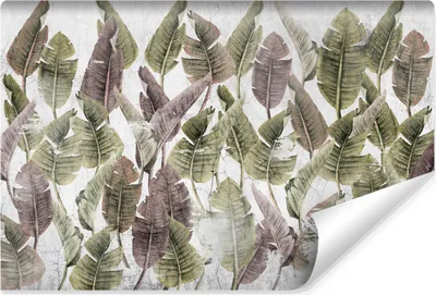 Produktbild von Muralo Vlies Fototapete bunte BLÄTTER tropische Pflanzen Beton Abstraktion Br. 90cm x Hö. 60cm