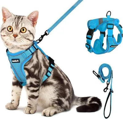 Produktbild von Famanu Katzenharness verstellbar - Blau, klein mit reflektierender Leine