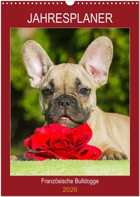 Produktbild von Jahresplaner Französische Bulldogge (Wandkalender 2026 DIN A3 hoch), CALVENDO Monatskalender