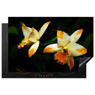 Produktbild von KitchenYeah© Herdabdeckplatte Zwei Orchideenblüten , 80x52cm, Küche Deko, Glaskeramikkochfeld Herdabdeckung, Abdeckplatte fùr Kochfeld
