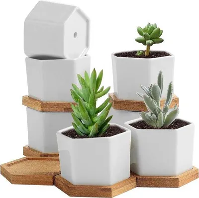Produktbild von Keramische Mini-Pflanzkübel 6cm weiß für Dekoration