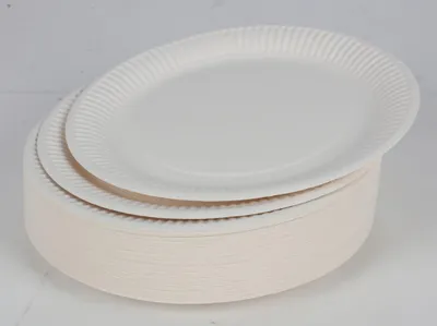 Image de 10x Assiettes en carton Paquet de 100 Blancs Assiettes jetables Barquettes jetables Papier Barbecue Repas Fêtes