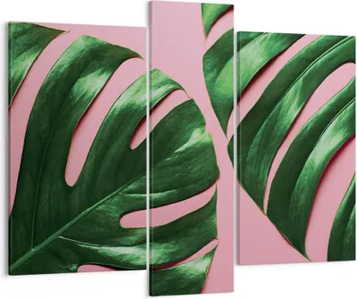Produktbild von Bild auf Leinwand - Leinwandbild - 3 Teile - Monstera Blatt Rosa - 95x80cm - Wand Bild - Wanddeko - Wandbilder - Leinwanddruck - Bilder - Wanddekoration - Leinwand bilder - Wandbild - CB95x80-4407